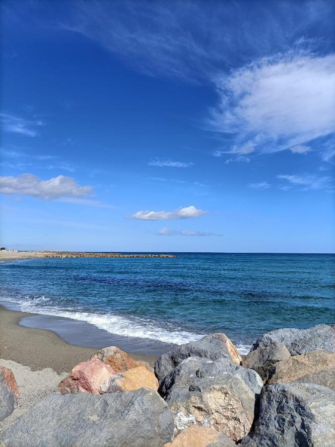 Superbe T2 Climatise, Proche Plage Avec Parking Prive Saint-Cyprien  Eksteriør billede