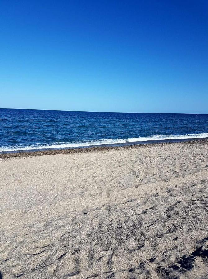 Superbe T2 Climatise, Proche Plage Avec Parking Prive Saint-Cyprien  Eksteriør billede